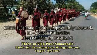 Giới Và Luật Phật giáo nguyên thủy Theravada / Phần 1 Giới Bổn Patimokkha/ #5 Bất Cộng Trụ Pārājika1