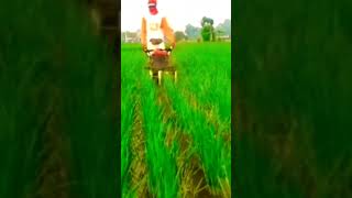 MODIFIKASI MESIN GULMA PADI SAWAH