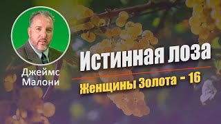 Джеймс Мэлони. Женщины золота - 16 часть: Истинная лоза