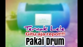 Cara Ternak lele dengan drum