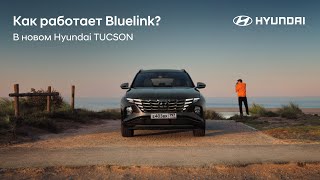 Как работает система Bluelink на новом Hyundai TUCSON?