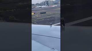 Esta paloma fue sorprendida por la velocidad de este avión!