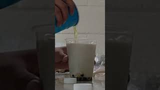 LeeSan makes Matcha Boba Milk Tea