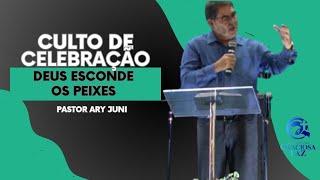 Culto de Celebração - "Deus esconde o peixe" - Pr. Ary Lopes Jr. - 21/04/2024 - IBGP