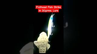 Flathead Fish Strike in 30grms. Lure #shorts #shortvideo #shortsfeed #fypシ #fishing #fish #ofw