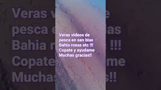 te invito a mi canal veras pescas en Bahía san blas Bahía rosas Bahía creek !suscribite ayudame