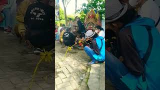 Detik-detik Penonton Kesurupan Saat Tari Kucingan #shorts #saidlarelicin #kesurupan