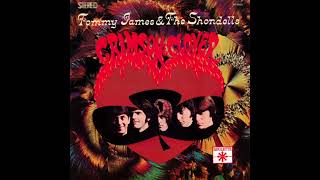 Tommy James & The Shondells - Crimson and Clover (1 HOUR)