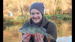 The Quest #perchfishing #whitespringsfishery #perch