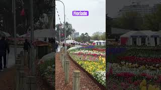 Floriade Tulip Festival, Canberra, Australia 🇦🇺 @BuluVaiya #flowers #tulip #floriade #fyp