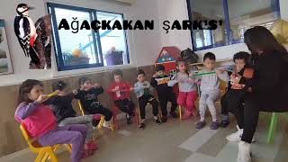 Pop Tube Ritim Çalışması #poptube #ağaçkakan #orffschulwerk #kurbağa #nurseryrhymes #kidssong