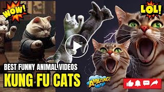 Try Not to Laugh: Chinese Kung Fu Cats Compilation for Cat Lovers!  digitaldreamsstudios