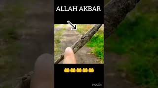 ALLAH AKBAR #islam #shorts