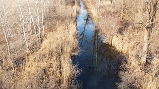 Avigliana: pulizia del Canale Naviglia