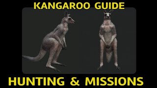 The hunter COTW KANGAROO GUIDE , MISSIONS Hunting Kangaroo Emerald Coast AUSTRALIA Call of the wild