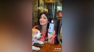 Shilpa shetty new tiktok