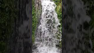 Yercaud waterfall near hairpin bend