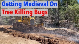 Tree Killing Bugs Your Days are Over! Medieval on Your…..