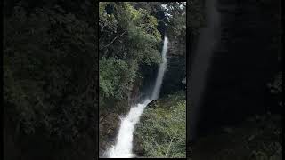 Saree Falls😮සොබාදහමේ සුන්දරත්වය විදිමු❤#subscribe#shorts#waterfall#travel#srilanaka#nature#lankawa