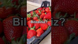 Bugünə kimi çiyələyi səhv yuyurmuşuq. Belə yuyursunuz? #bilirdiniz #çiyələk #lifehacks #lifehack