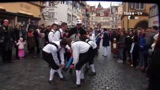 Narrentreffen Lindau am 24. Jan. 2016