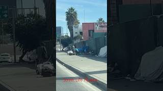 Street Life Tijuana