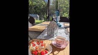 Breakfast in the garden