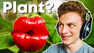 Ranking the Earth's WEIRDEST Plants...