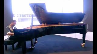 Kris Nicholson Plays The Rose 🌹 at Namm 2022 C. Bechstein