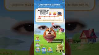 ¿Cómo ganar comida en el juego de SHEIN? 🐶