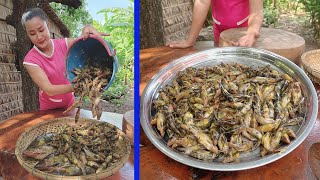 Delicious soldier fish cooking - Cooking with Sreypov