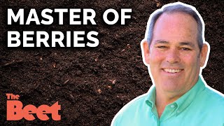 Growing Great Strawberries with Dr. Gerald Holmes | The Beet