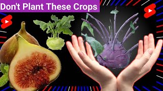 5 Crops That Will RUIN Your Garden/Don't Plant These 5 Crops