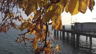 Herbsttag im Lindenhofpark bei Lindau am 26.10.2015