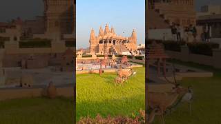 #fypシ #youtube #aesthetic #mychannel #trending #song #music #sriswaminarayantemple #shorts #short