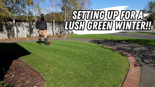 Winter is coming, what do we do?? // late autumn/ winter lawn care tips