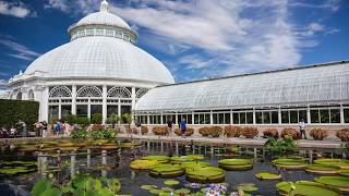 Tourist in Your Own Town #51 - New York Botanical Garden