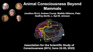 Symposium: Animal Consciousness Beyond Mammals | ASSC26