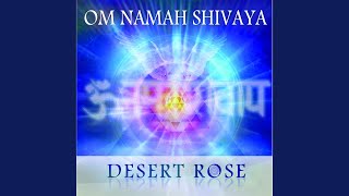 Om Namah Shivaya