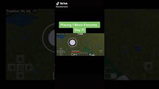 Placing 1 Block Everyday In Minecraft - Day 71