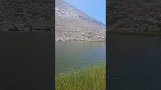 Timberline Lake shoreline