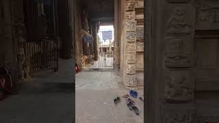 BEAUTIFUL Entry of 14th century old Someshwara Shiva Temple #temple #India #hindu #omnamahshivaya