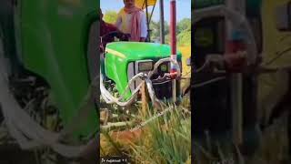 Tractor Lover Tractor village babu #shorts #stunt #love #village #tractor #bapu