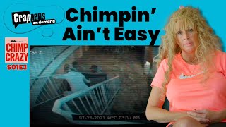 Chimp Crazy (E03): Chimpin’ Ain’t Easy