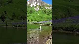 Nature thriller #beautiful #traveller #travel #shortsfeed #shortvideo #vidoeshort #youtubeshort #yt