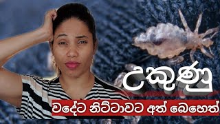 උකුණන් වද කර ගැනීමට නිවැරදි සත්කාර ,