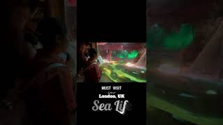 Must Visit in London, UK: SeaLife