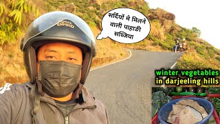 सर्दियों मे मिलने वाली पाहाङी सब्जिया | Darjeeling Lover | Darjeeling Vlogger