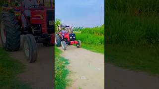 #dabungtractor #viralvideo #farming #shorts #shortvideo #virlshorts #youtubeshorts #youtube