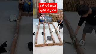 هیچوقت زود قضاوت نکنید